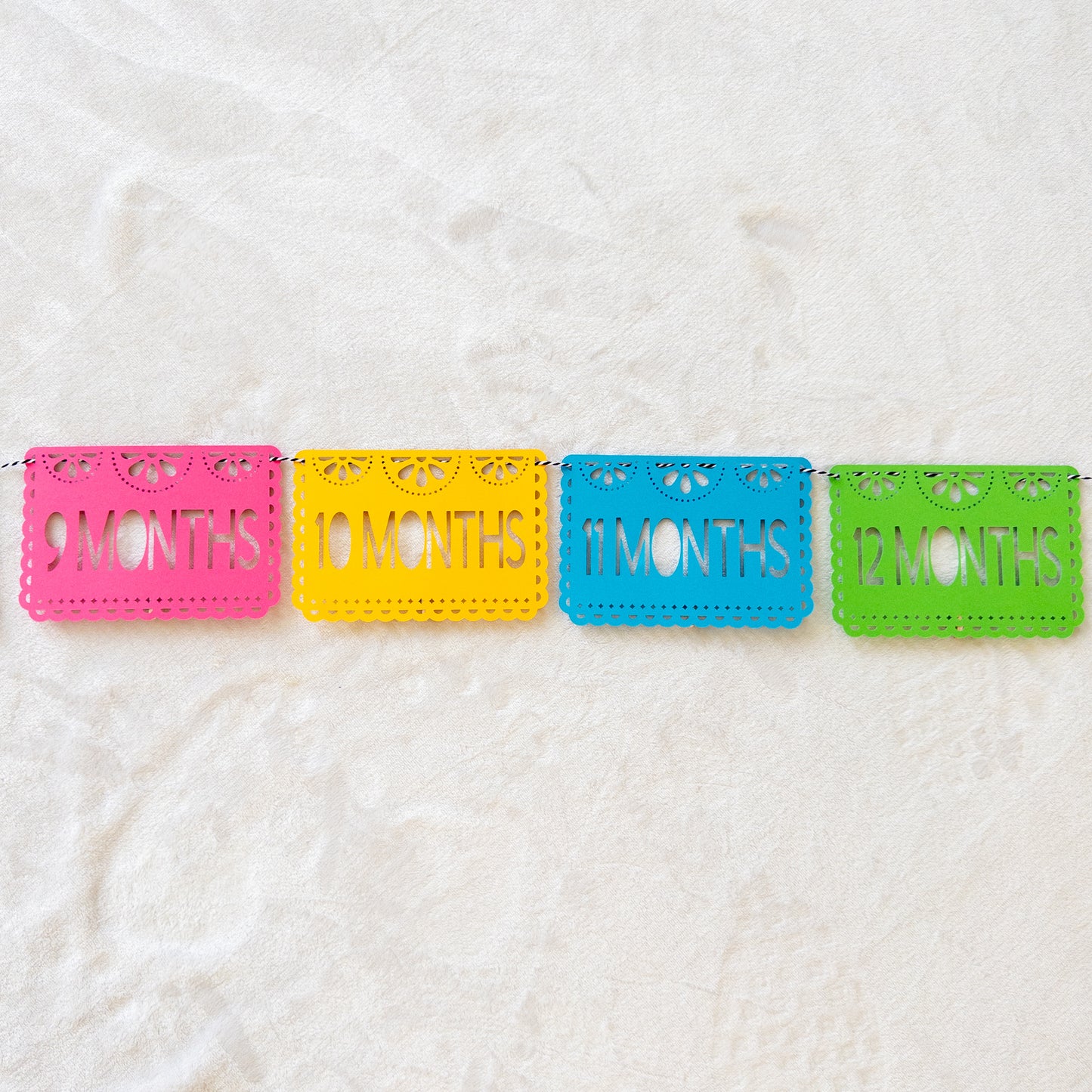 Fiesta-Themed Monthly Photo Banner – First Birthday Party Decor