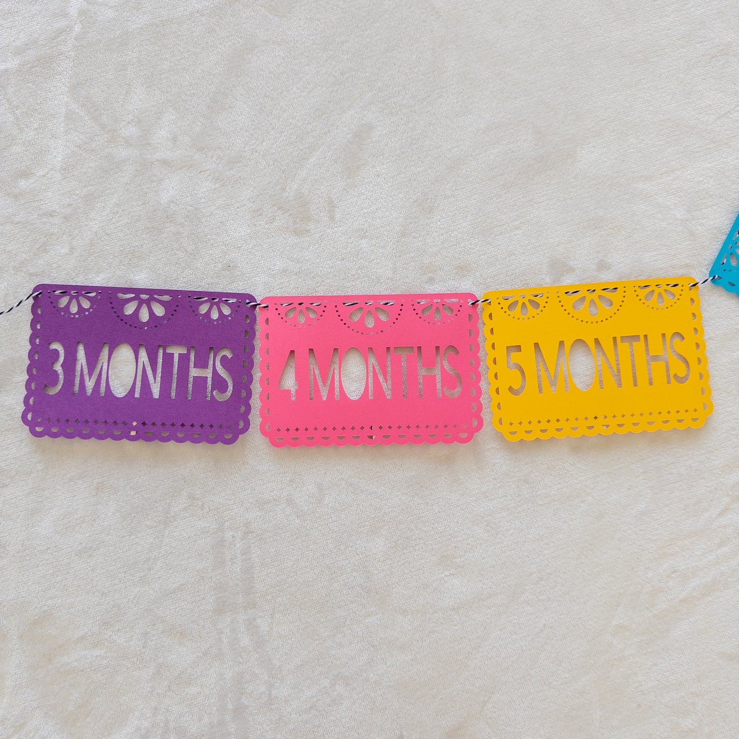 Fiesta-Themed Monthly Photo Banner – First Birthday Party Decor