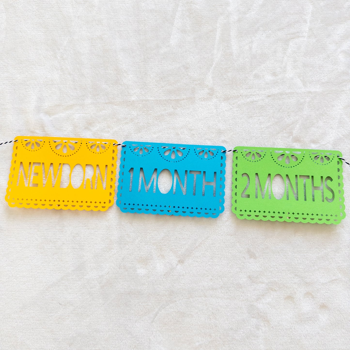Fiesta-Themed Monthly Photo Banner – First Birthday Party Decor