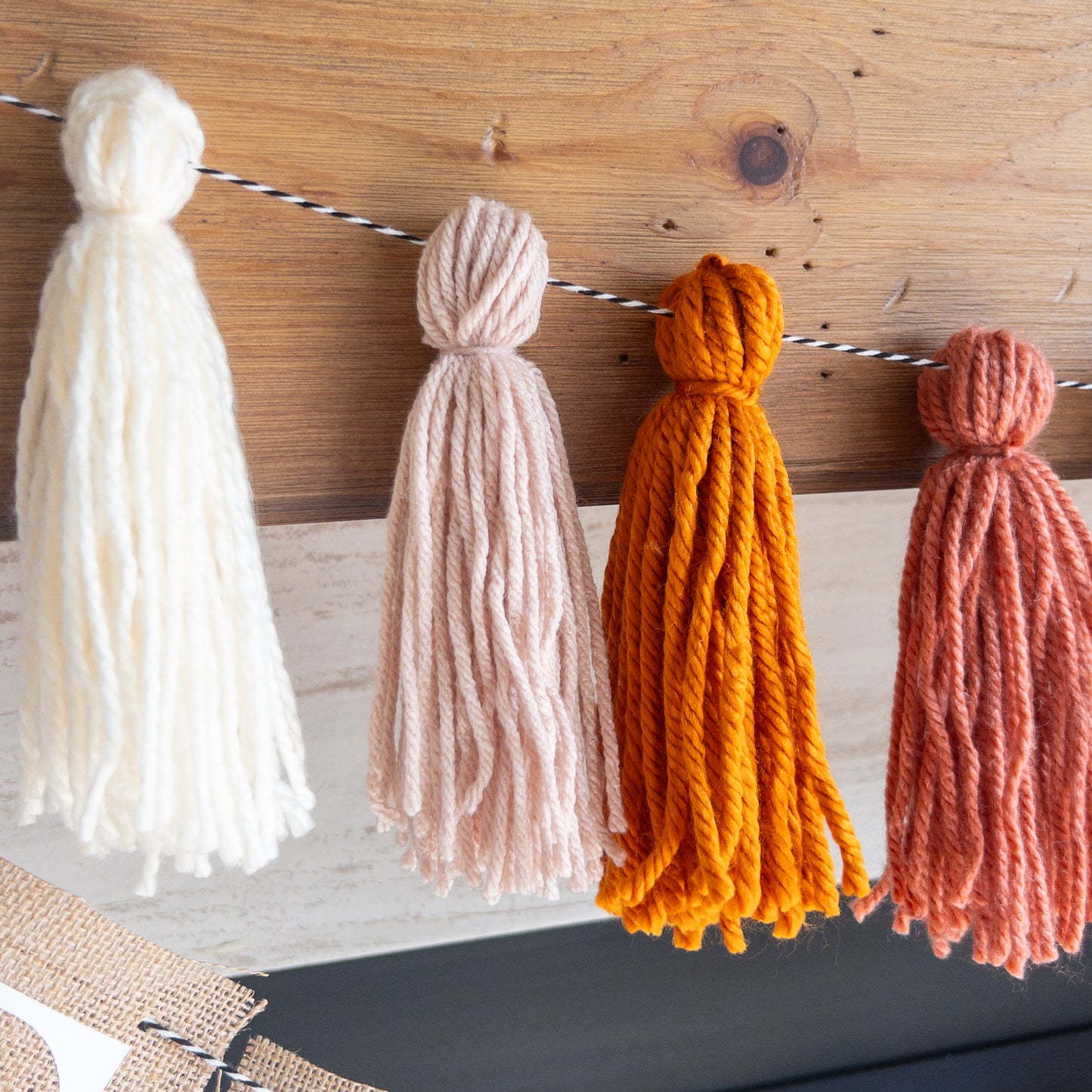 Pink Fall Yarn Tassel Garland