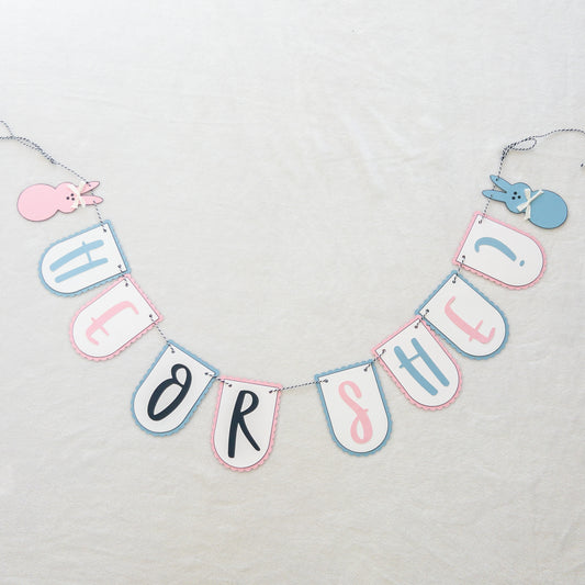 He or She Gender Reveal Banner