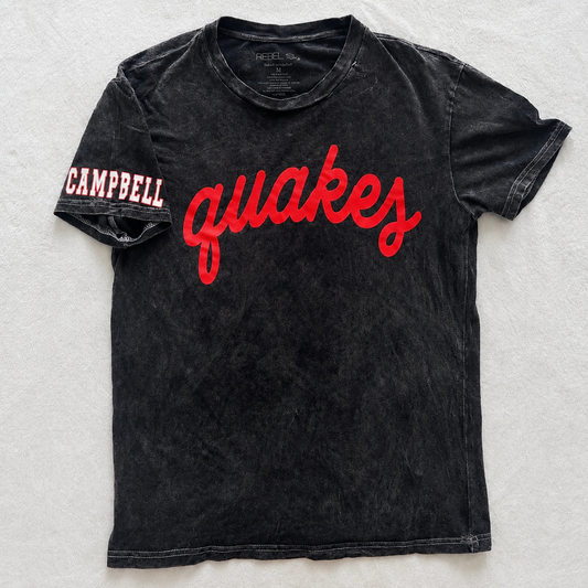 Vintage Washed Quakes Puff Vinyl Tee