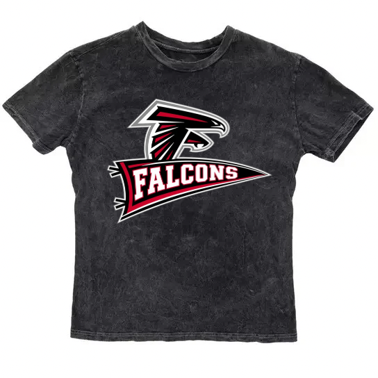 DC West Falcons Vintage Washed T-Shirt