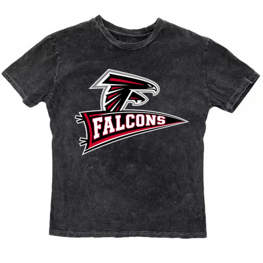 DC West Falcons Vintage Washed T-Shirt