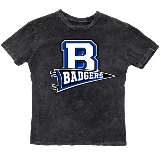 Vintage Washed Badgers Tee