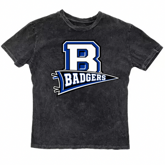 Vintage Washed Badgers Tee