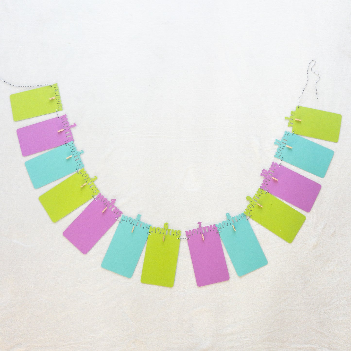 A colorful banner made of paper in green, purple and blue, each with a photo clip attached to it, strung together with a string.