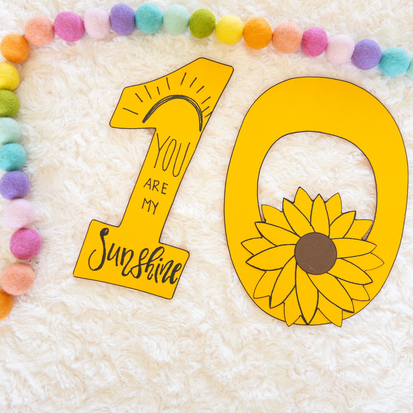 Baby’s first year monthly milestone photo props 